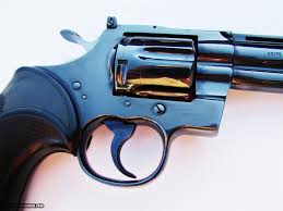 Image result for Light Blue 1980 Colt