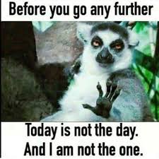 Nurse Nursing Nurselife Nursepractitioner Instanursing Nurseproblems Nursingschoolproblems Scr Funny Animal Photos Funny Animal Pictures Funny Pictures