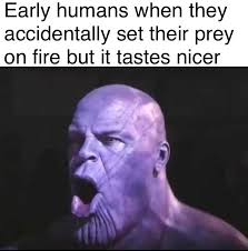 Pin By Kira Rian Eklund On Funny Got Memes Edgy Memes Funny Memes