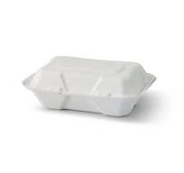 Sugarcane-containers 23 x 15.5 x 7.5 cm, hinged-lid, rectangular