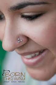 Pin By Amanda Gato On Piercings In 2021 Nose Piercing Facial Piercings Piercing