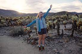 The few acres of land there have grown countless cholla cactus, and they dot the landscape as you look out towards the hills. Sunset At The Cholla Cactus Garden Joshua Tree Ca Amanda Please