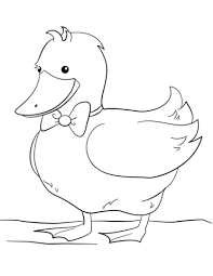 Dibujos Animados Para Colorear Pato