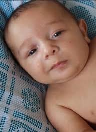 Landon Hause Obituary (2017)