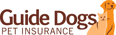 Image result for Insurance Guide