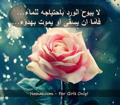 حسناء لكل ما يخص المرأة العربية Rose Movie Posters Poster