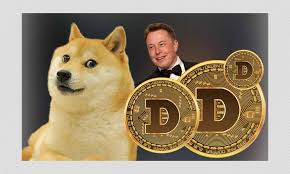 In this article as elon. Investing In Dogecoin A Joke Or Serious Cryptocurrency Option