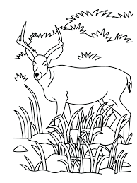 Select from 24848 printable crafts of cartoons, nature, animals, bible and many more. Printable African Animal Coloring Pages Novocom Top