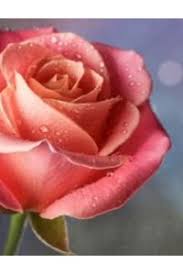 Krista Lashley Obituary in Alexander City at Wright's Funeral Home