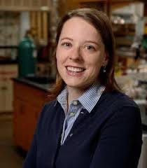 News Archive Page 15