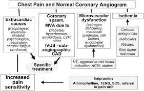 Pathophysiology And Management Of Patients With Chest Pain And Normal Coronary Arteriograms Cardiac Syndrome X Circulation