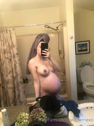 willowmexo1234  willowmexo Nude, OnlyFans Leaks, The Fappening - Photo  7452998 - FappeningBook