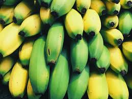 In 2019 tr 4 was confirmed in colombia, marking the first appearance of the strain in the. Go Bananas Run For It Great Escapetations