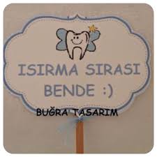Dis Bugdayi Dis Perisi Parti Fikirleri Dis