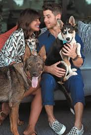 Daemon x machina can nintendogs have puppies can the old dalmation and friends dogs have puppies. How I Spend It Priyanka Chopra Jonas On Her Three Favourite Furbabies Financial Times