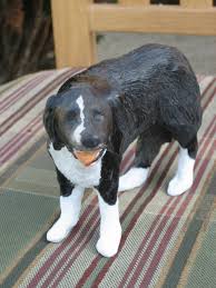 Canine cancer is similar to human cancer in that it typically progresses through a series of stages, from i to v. Nasal Cancer Prescription Treats Dental Control Dogs Page 35 City Data Forum