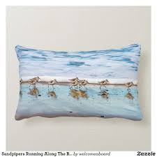 The amazonbasics lumbar support pillow is the cushiest pillow we tested, and it's usually. Sandpipers Running Along The Beach Lumbar Pillow Zazzle Com Sunset Pillow Sandpiper Pillows