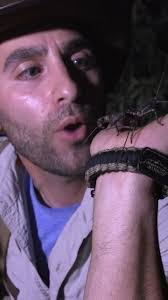 Mike Tedder's Instagram, Twitter & Facebook