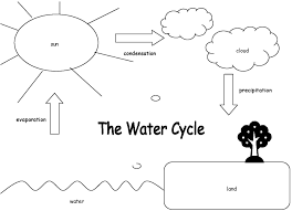 You and your children are going to learn so parts of the water cycle task cards includes a total of 32 unique task cards in pdf format with examples of water cycle. Water Cycle Coloring Pages The Coloring Pages Water Cycle Worksheet Water Cycle Water Cycle Diagram