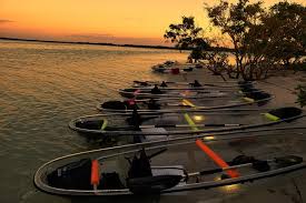 Noah has lived in the st. Goadventure Small Group Clear Kayak Tour In Shell Key