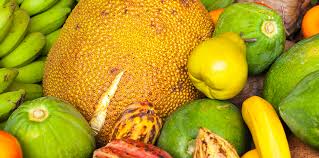 Check spelling or type a new query. 5 Tropical Fruits That Grow In South Florida