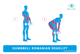Unlike moves that share its name, the romanian deadlift is super targeted to hit your with a regular deadlift, you grab a weight up off of the floor and pull it up to stand, using the muscles in your glutes and core. Exercise Of The Day Dumbbell Romanian Deadlift Steemit