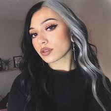 Black And Platinum Hair Aesthetic Pin On Hair Goals