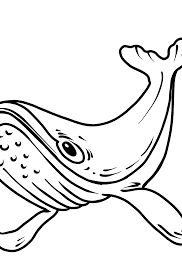 Click the button below to download and print this coloring sheet. Whale Coloring Page Color Online For Free