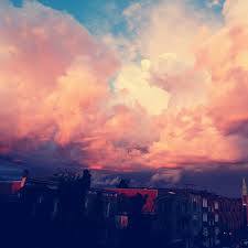 Adam Mongrain (@adamzodiac) • Instagram photos and videos