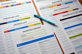Finance Binder Pdf Printable Pages Instant Download Budget Etsy Finance Binder Budget Binder Budget Binder Printables