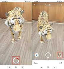 How To Record Videos With Google S 3d Animals Olhar Digital