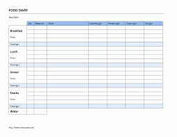 Food Diary Template Word Beautiful Food Diary Log Food Diary Template Food Diary Food Log