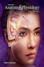 Exploring Anatomy Physiology In The Laboratory 3e By Erin C Amerman Morton Publishing Company Anatomy And Physiology Physiology Ebook