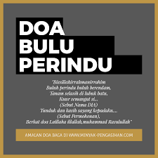 Menurut mitos, bulu perindu sangat ampuh membuat seorang wanita jatuh cinta pada seorang pria asalkan dipegang oleh orang yang tepat. Doa Bulu Perindu Islam Paling Ampuh Untuk Memikat Hati Wanita Maupun Pria Islamic Quotes Kata Kata Motivasi Kata Kata Indah