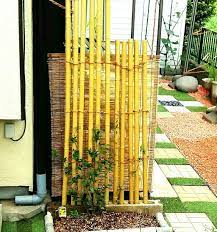 つる性植物 を テグス で誘引 簡単 とれないテグスの結び方 園芸 支柱 植物 つる
