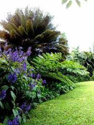 Though both it and the accompanying garden needed work, potential oozed from every wall and leaf. 26 Miami Landscape Style Ideas Landscape Miami Tropical Landscaping