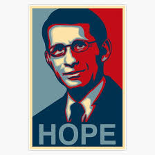 Amazon.com: Dr Anthony Stephen Fauci Decal Vinyl Bumper Sticker 5" :  Automotive