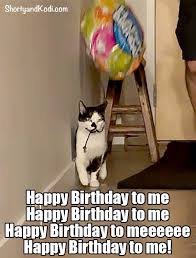 Pin By Crystal Scruggs On Mine Happy Birthday Me Crazy Cats Happy Birthday Meme