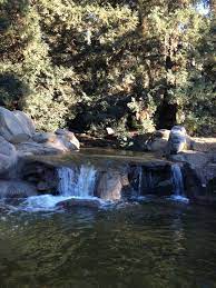 Woodward Park Fresno Ca 2012 Woodward Park Live In The Now Park