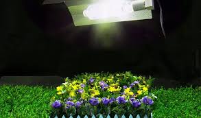 Maybe you would like to learn more about one of these? Ipower Grow Light Reviews What For Me