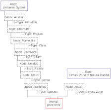 Initial Ssm For An Animal Classification System