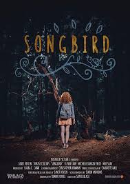 During a pandemic lockdown, nico, a young man with rare immunity, must overcome martial law, murderous vigilantes and a powerful family to reunite with his love, sara. Songbird Movie Streaming Online Watch