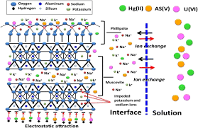 Under normal condition any guy who has a harem won' t try to justify not touching the girls. Effective Decontamination Of As V Hg Ii And U Vi Toxic Ions From Water Using Novel Muscovite Zeolite Aluminosilicate Composite Adsorption Behavior And Mechanism Springerlink