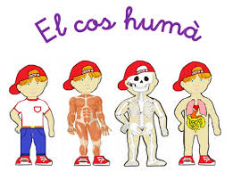 Resultado de imagen de EL COS HUMA