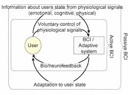 24 hours 1 week 1 month 3 months 6 months 1 year. Schematic Overview Of An Active And A Passive Bci Download Scientific Diagram