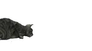 40 Super Cute Animated Cat Kawaii Pixel Art Gifs Best Animations Cat Gif Cats Free Cats