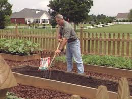 Planting pepper seeds are advantageous as they are themselves rich in nutrients. How To Grow Pepper Plants How Tos Diy