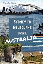 A Slice Of Australia Australia Travel Guide Australia Travel Road Trip Fun