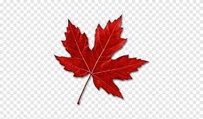 Red Maple Leaf Canada Maple Leaf Red Maple Leaf Maple Leaf Png Pngegg Collection of canadian maple leaf (31) clip art canadian maple leaf red maple leaf canada png logo red maple leaf canada maple leaf red