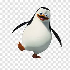 See more videos by penguinsofmadagascar4351 here: Skipper Rico Penguin Madagascar Clip Art Youtube Transparent Png
